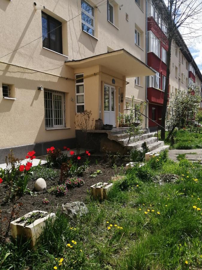 Angel House Central Aparament Petroşani Екстериор снимка